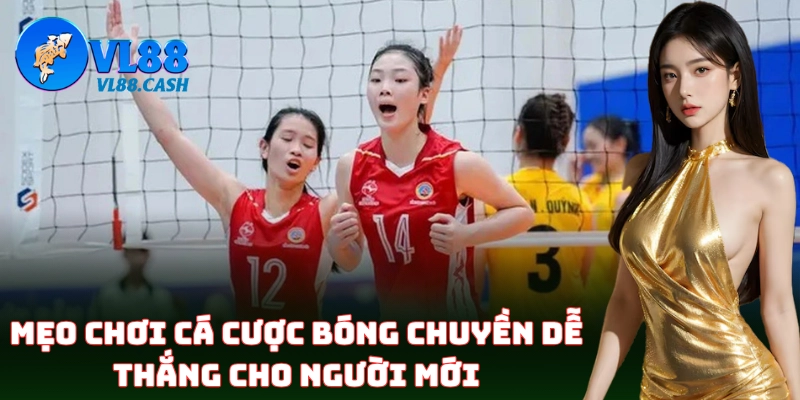 Bí quyết soi kèo Cá Cược Bóng Chuyền chuẩn từ chuyên gia